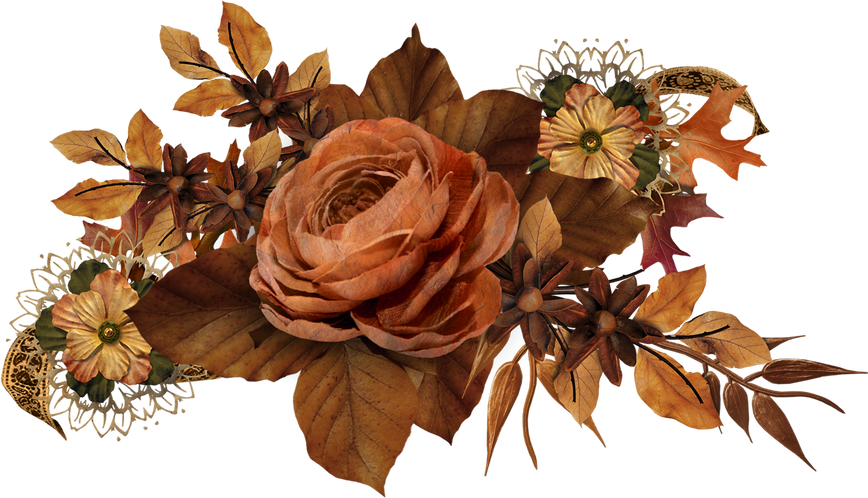 Dried Flowers Illustration 